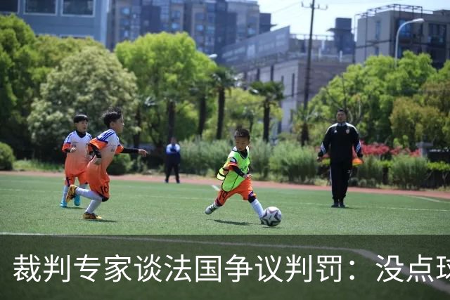 裁判专家谈法国争议判罚：没点球是对的 姆巴佩被轻轻碰了就倒地
